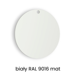 Próbka kolor biały RAL 9016 mat