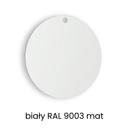 Próbka kolor biały RAL 9003 mat